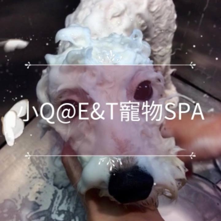 E&T Pet Spa
