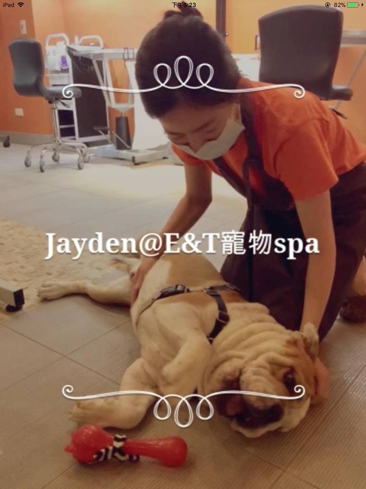 E&T Pet Spa