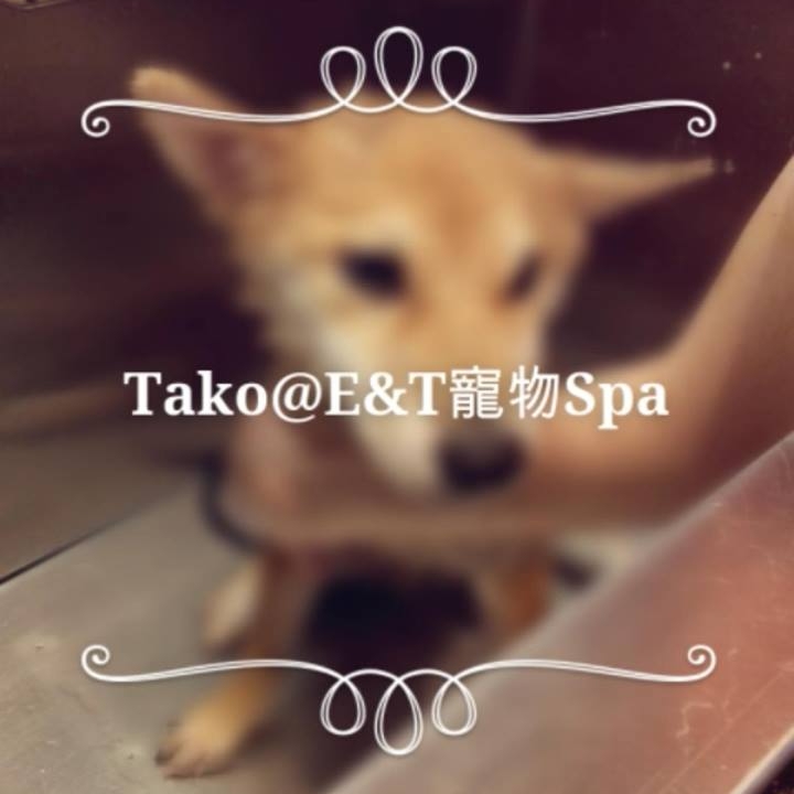E&T Pet Spa