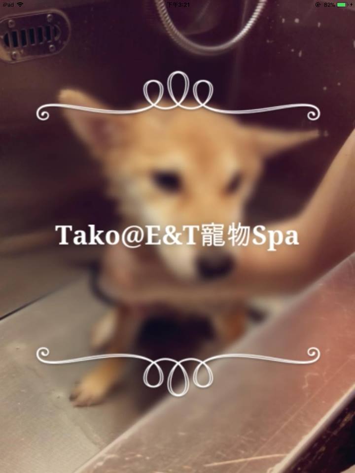 E&T Pet Spa