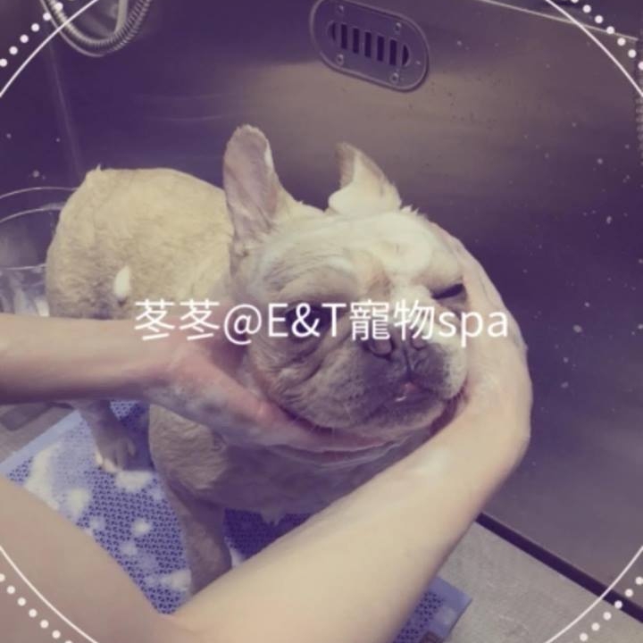 E&T Pet Spa