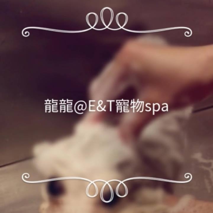 E&T Pet Spa