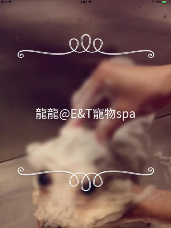 E&T Pet Spa