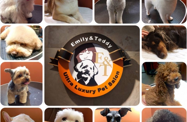 E&T Pet Spa