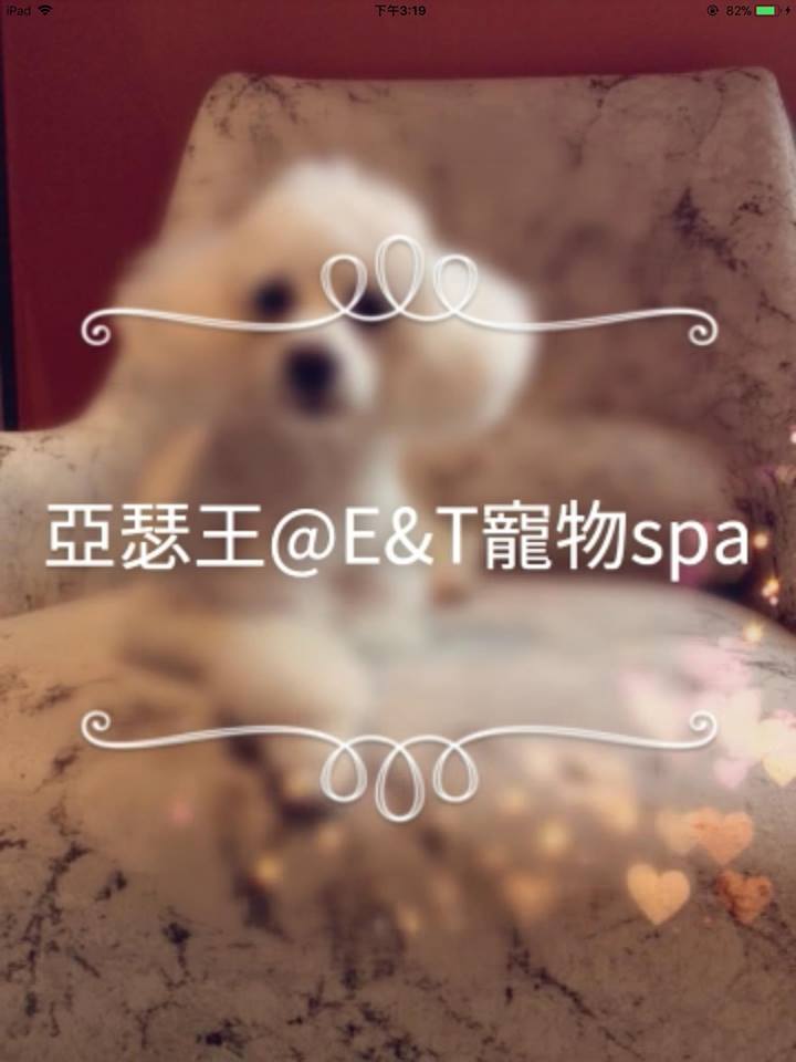 E&T Pet Spa