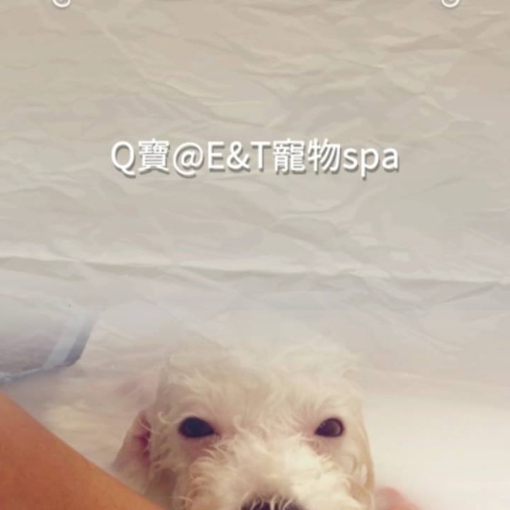 E&T Pet Spa