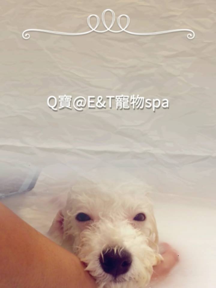 E&T Pet Spa